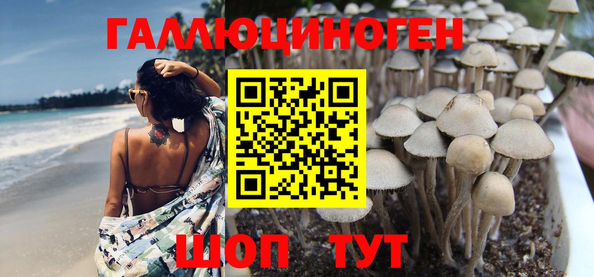 Псилоцибиновые грибы Cubensis Улан-Удэ