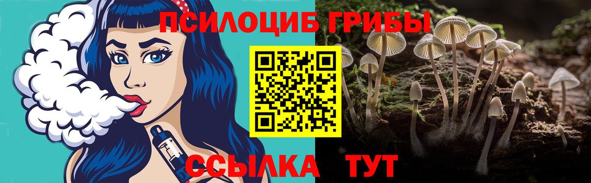 купить наркотик  Псилоцибиновые грибы Psilocybe  Вход с VPN  Улан-Удэ  Галлюциногенные грибы Cubensis 
